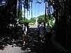 P1010151.JPG