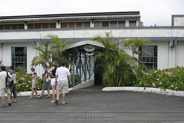 IMG_0331.JPG