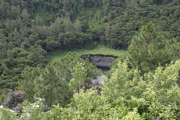 IMG_0388.JPG