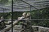 IMG_0296.JPG
