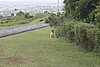 IMG_0394.JPG
