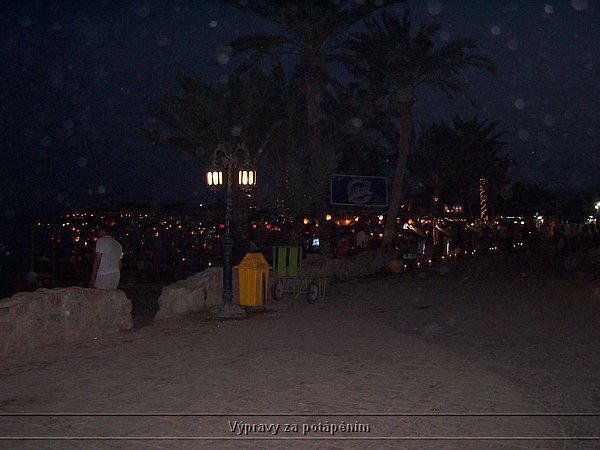 100_6106.JPG
