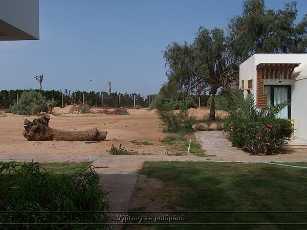 100_6200.JPG