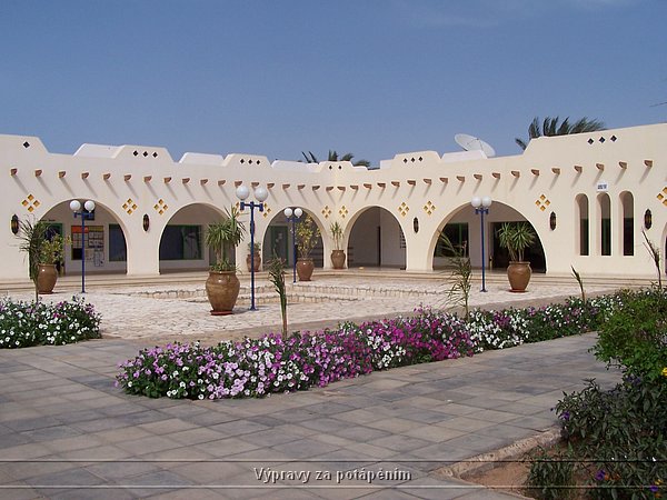 100_6204.JPG