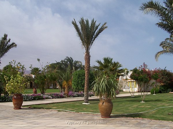 100_6209.JPG