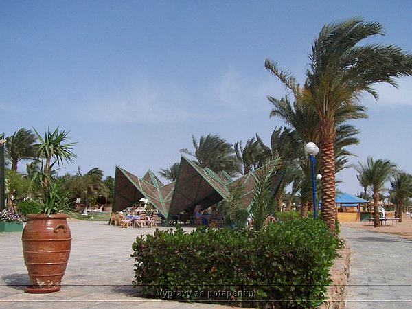 100_6210.JPG