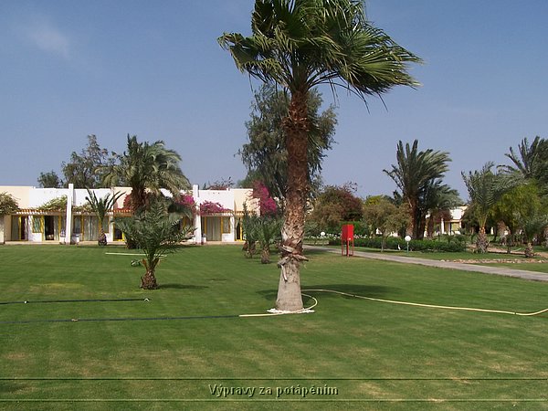 100_6212.JPG