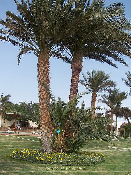100_6224.JPG