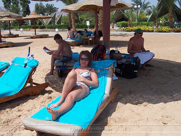 100_6239.JPG