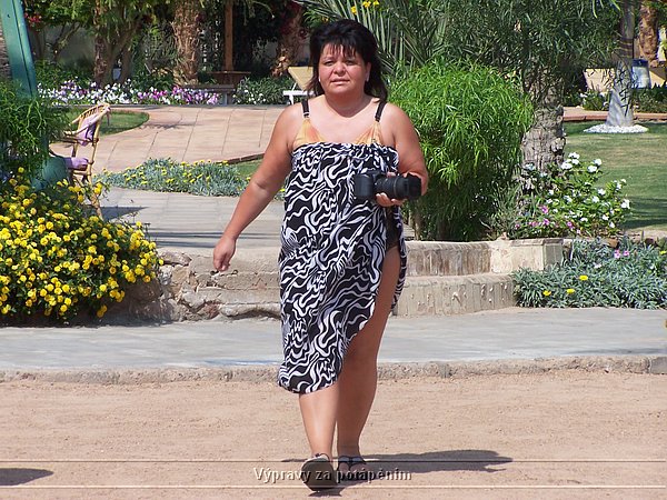 100_6246.JPG