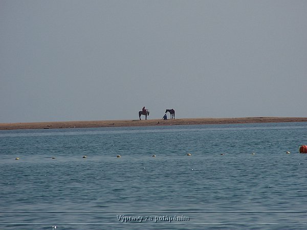 100_6249.JPG