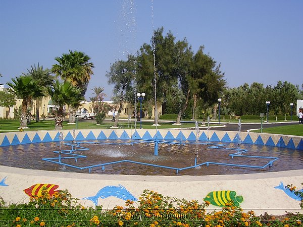 P4080186.JPG