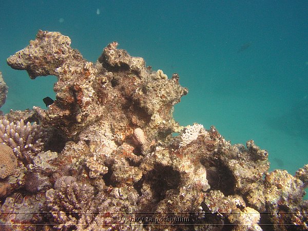 P4040131.JPG
