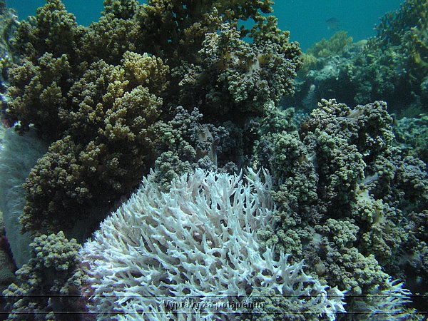P6040187.JPG