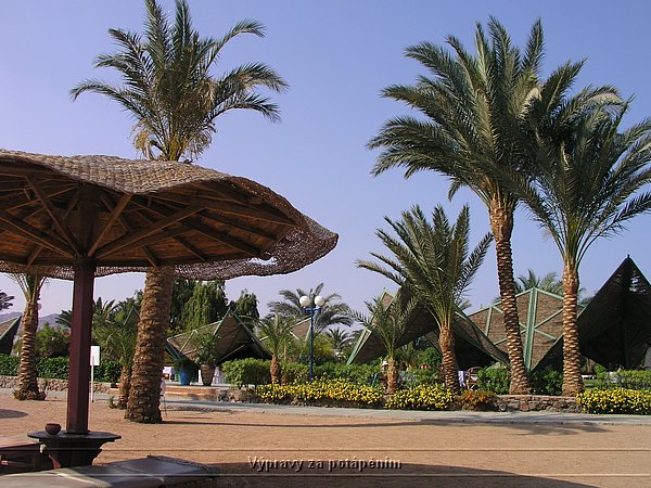 P1010186.JPG