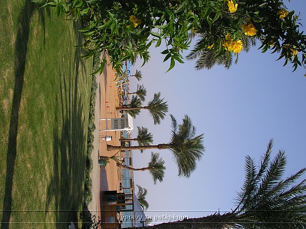 P1010192.JPG