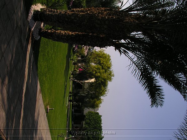 P1010200.JPG