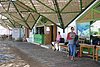 IMG_0150.JPG