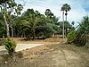 P3310150.JPG