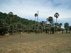P3310159.JPG