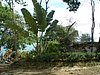 P3310191.JPG