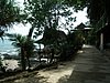P3310194.JPG