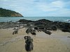 P3310201.JPG