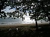 P3310216.JPG