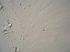 P4030110.JPG