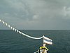 P4050201.JPG