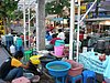 P4060263.JPG