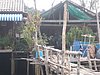 P4070424.JPG