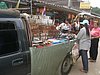 P4070433.JPG