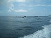 P4090493.JPG