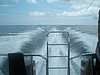 P4090498.JPG