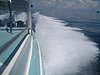 P4090501.JPG