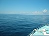 P4090514.JPG