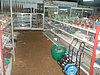 P4090520.JPG