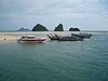 P4110078.JPG