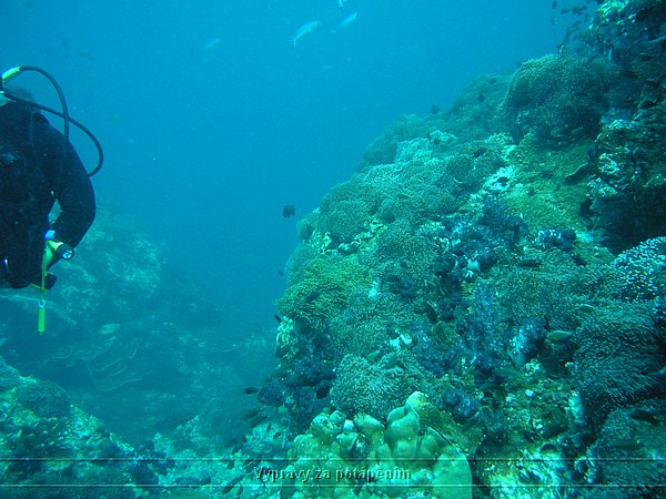 P1010028.JPG