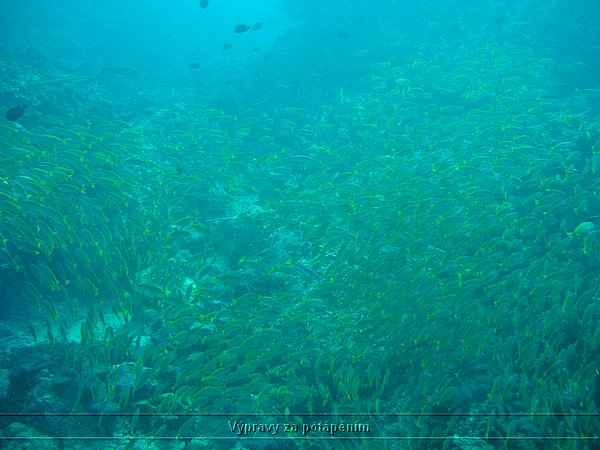 P1010035.JPG