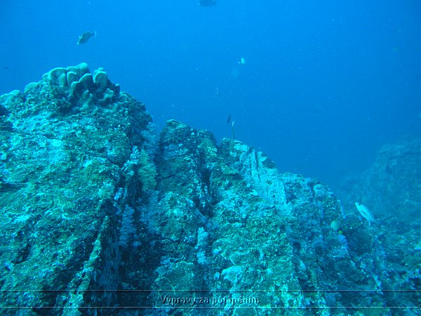 P1010102.JPG