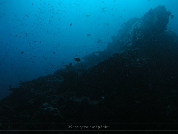 P1010105.JPG