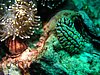 P1010006.JPG