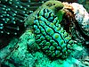 P1010008.JPG