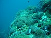 P1010029.JPG