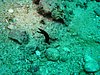 P1010045.JPG