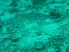 P1010046.JPG