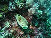 P1010057.JPG