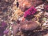 P1010073.JPG